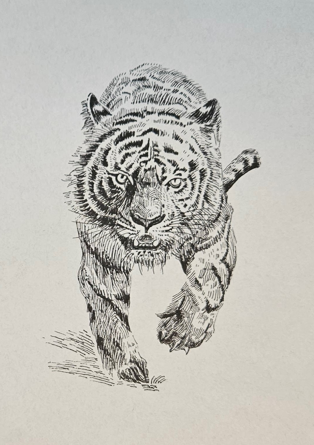Pencil sketch portrait — commission preview stage